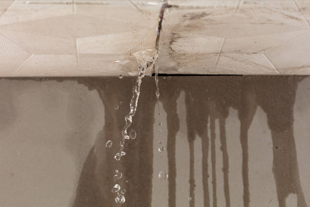Professional Water Damage Restoration technician working in Somerville, TX